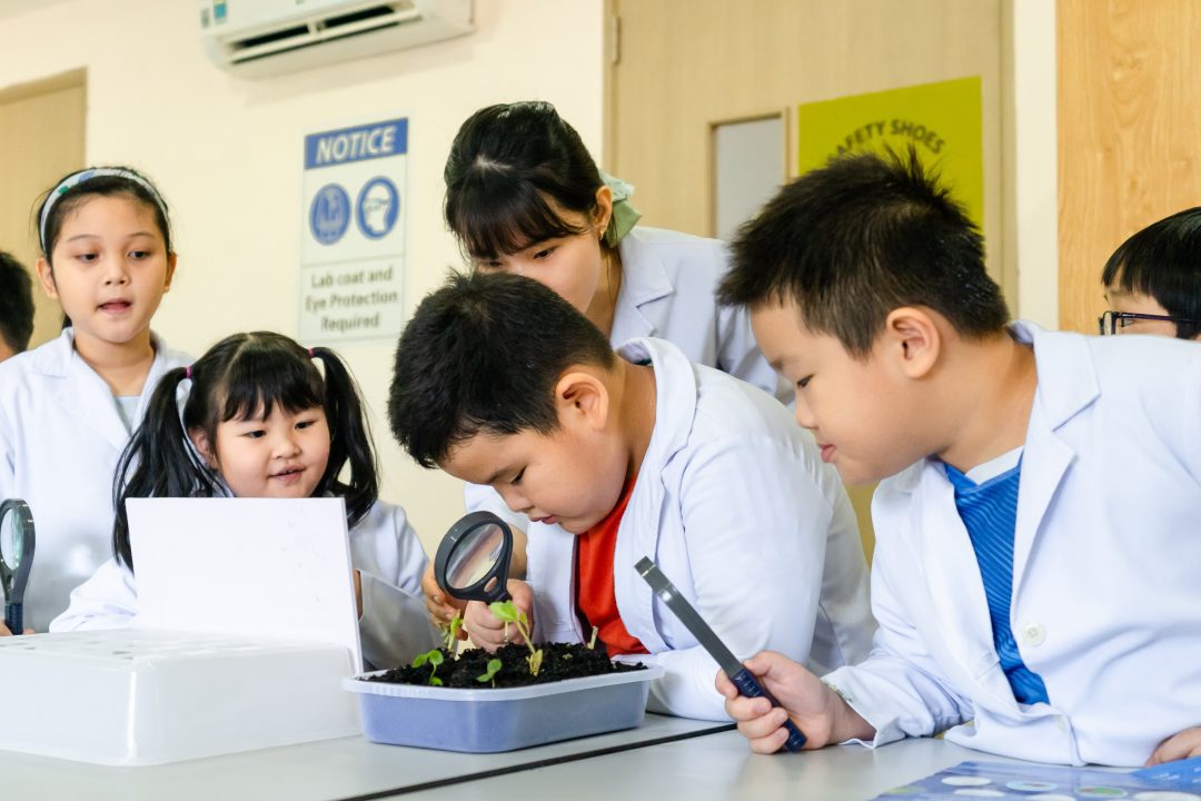 hoc-vien-phat-trien-tai-nang-tda-to-chuc-su-kien-open-day-mua-he-sang-tao-mo-khoa-tai-nang